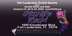Ft Lauderdale Orchid Society Logo